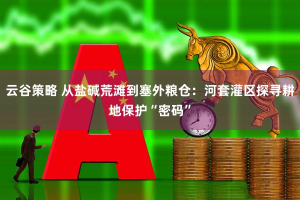 云谷策略 从盐碱荒滩到塞外粮仓：河套灌区探寻耕地保护“密码”