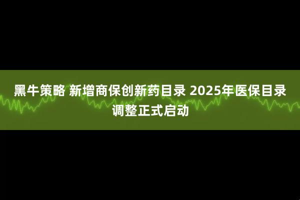 黑牛策略 新增商保创新药目录 2025年医保目录调整正式启动