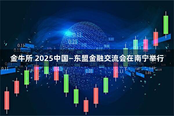 金牛所 2025中国—东盟金融交流会在南宁举行