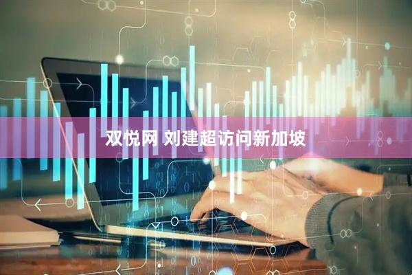 双悦网 刘建超访问新加坡