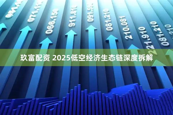 玖富配资 2025低空经济生态链深度拆解