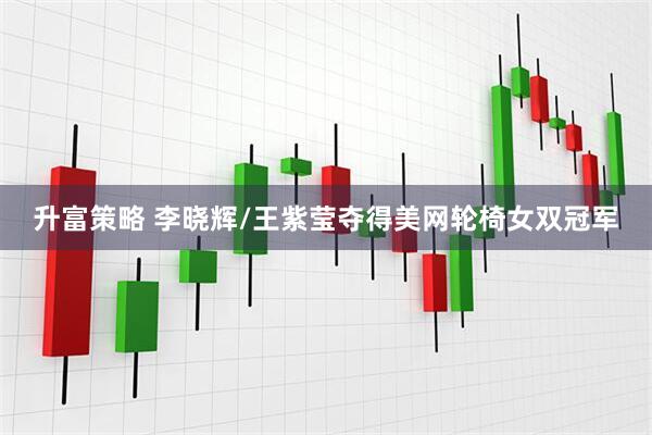 升富策略 李晓辉/王紫莹夺得美网轮椅女双冠军