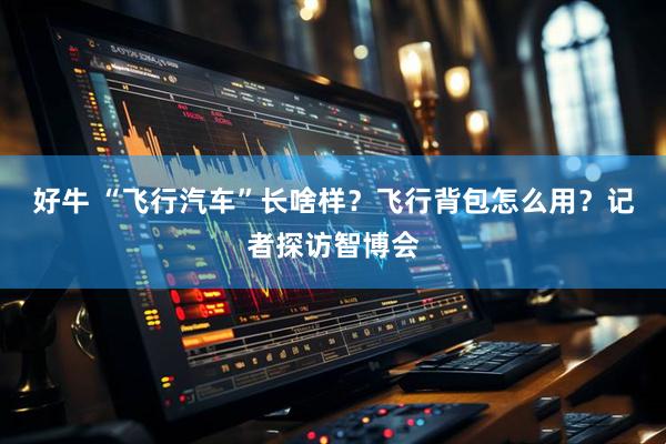 好牛 “飞行汽车”长啥样？飞行背包怎么用？记者探访智博会