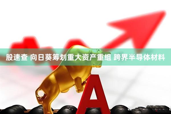 股速查 向日葵筹划重大资产重组 跨界半导体材料