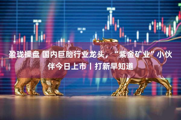 盈珑操盘 国内巨胎行业龙头，“紫金矿业”小伙伴今日上市丨打新早知道