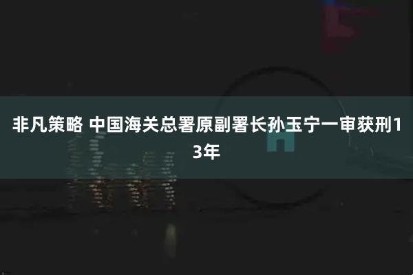 非凡策略 中国海关总署原副署长孙玉宁一审获刑13年
